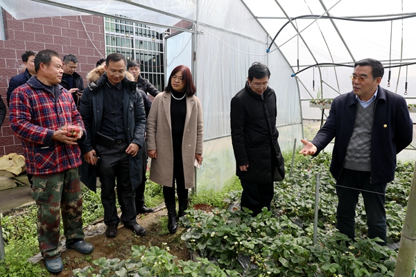 1551949714341047783.jpg 877A3226_副本.jpg