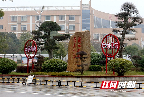 1551341137213018452.jpg 2.jpg