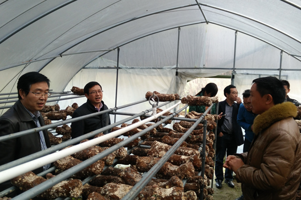 1481018903353030627.png 图片3_副本.png