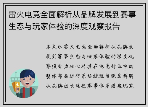 雷火电竞全面解析从品牌发展到赛事生态与玩家体验的深度观察报告
